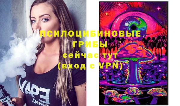 сатива Волосово
