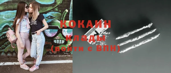 сатива Волосово