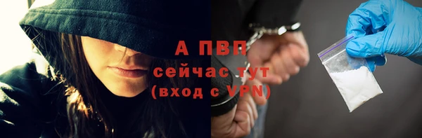 сатива Волосово