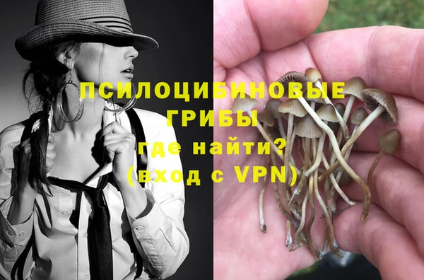 сатива Волосово