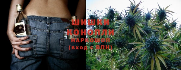 мдпв Володарск