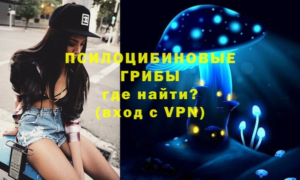 мдпв Володарск