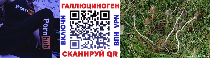 Галлюциногенные грибы Magic Shrooms  Назарово 