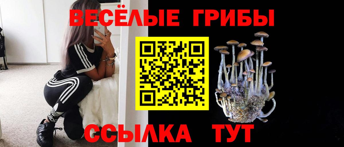 Галлюциногенные грибы мицелий  Вход с VPN  Назарово 